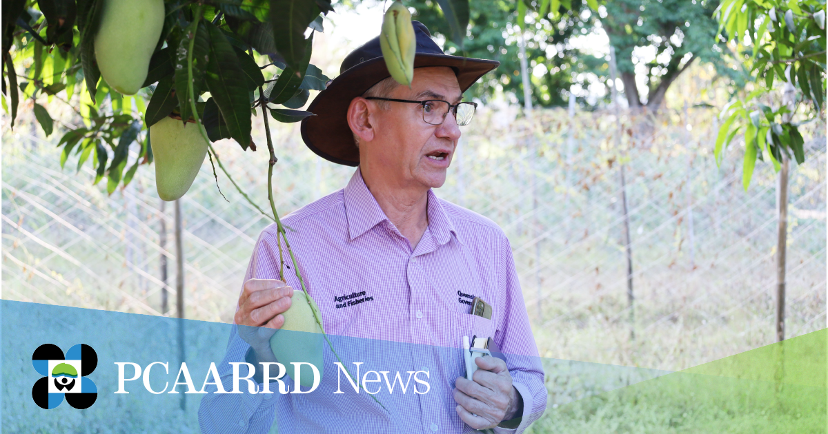 DOST-PCAARRD, UPLB, and Queensland Department of Agriculture and Fisheries explore potential collaboration on mango breeding